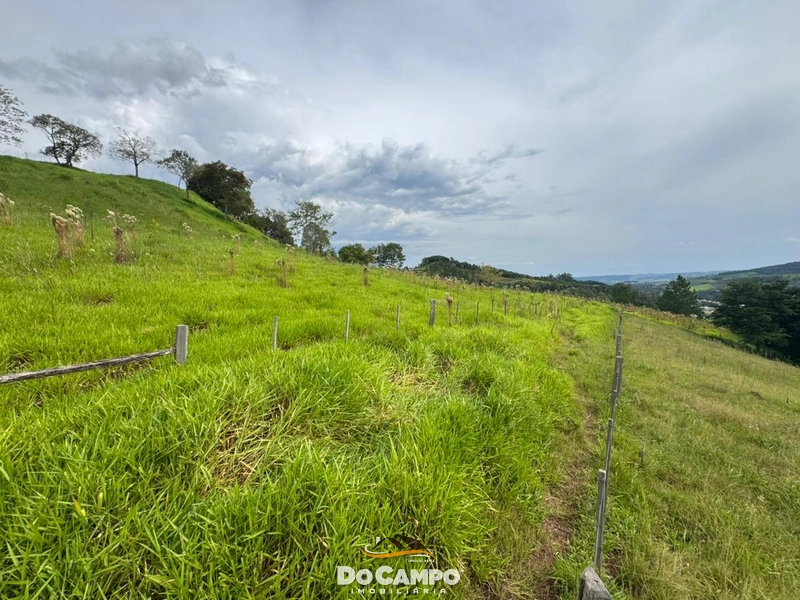 : 14ª foto da galeria de imagens do imóvel