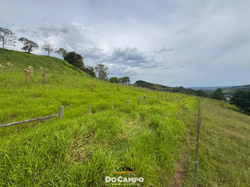 : 11ª foto da galeria de imagens do imóvel