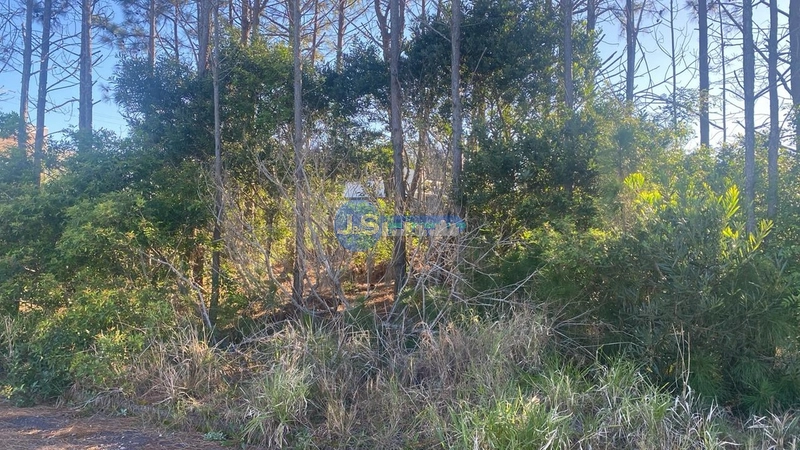 TERRENO JARDIM BEIRA MAR: 4ª foto da galeria de imagens do imóvel