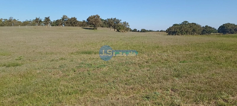 COMPRE O SEU TERRENO NA ESTRADA PALMITAL: 6ª foto da galeria de imagens do imóvel