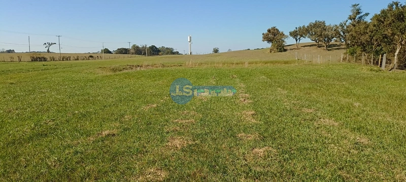 COMPRE O SEU TERRENO NA ESTRADA PALMITAL: 7ª foto da galeria de imagens do imóvel