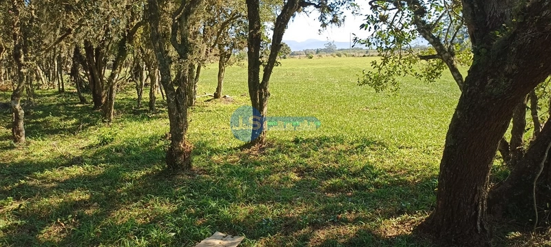 COMPRE O SEU TERRENO NA ESTRADA PALMITAL: 4ª foto da galeria de imagens do imóvel