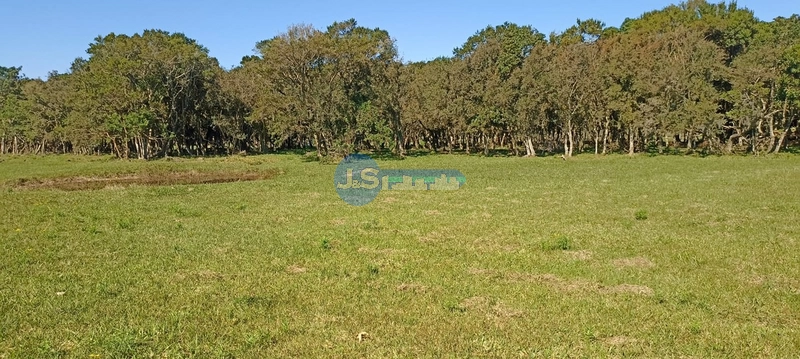 COMPRE O SEU TERRENO NA ESTRADA PALMITAL: 8ª foto da galeria de imagens do imóvel
