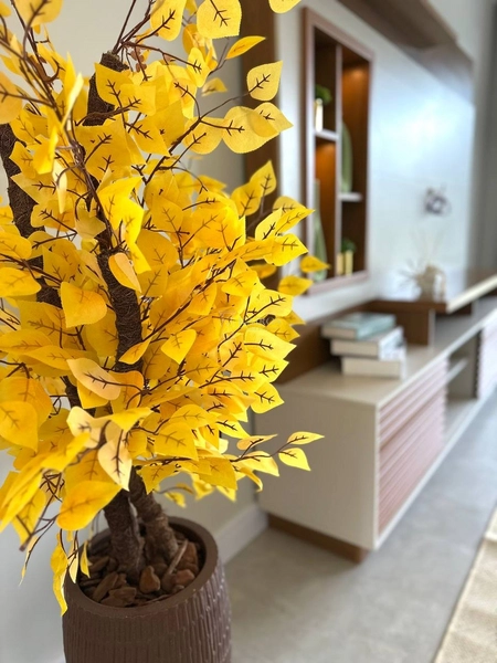 EXCELENTE CASA DE PRAIA EM LAJE COM PISCINA: 41ª foto da galeria de imagens do imóvel