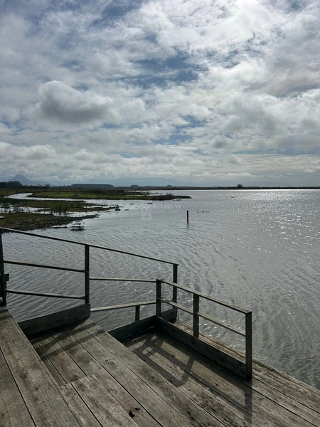 SITIO COM LAGOA: 28ª foto da galeria de imagens do imóvel