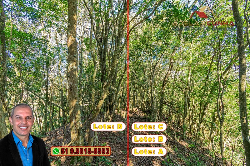 Sugestões de Chácaras com vista panorâmica à Venda em Nova Hartz - RS.: 29ª foto da galeria de imagens do imóvel