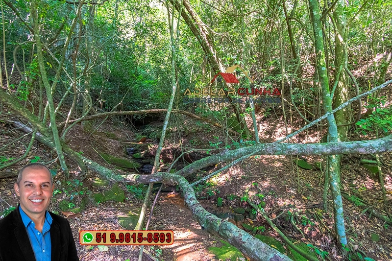Chácara 2.6 hectares à Venda em Lomba Grande – Novo Hamburgo: 14ª foto da galeria de imagens do imóvel