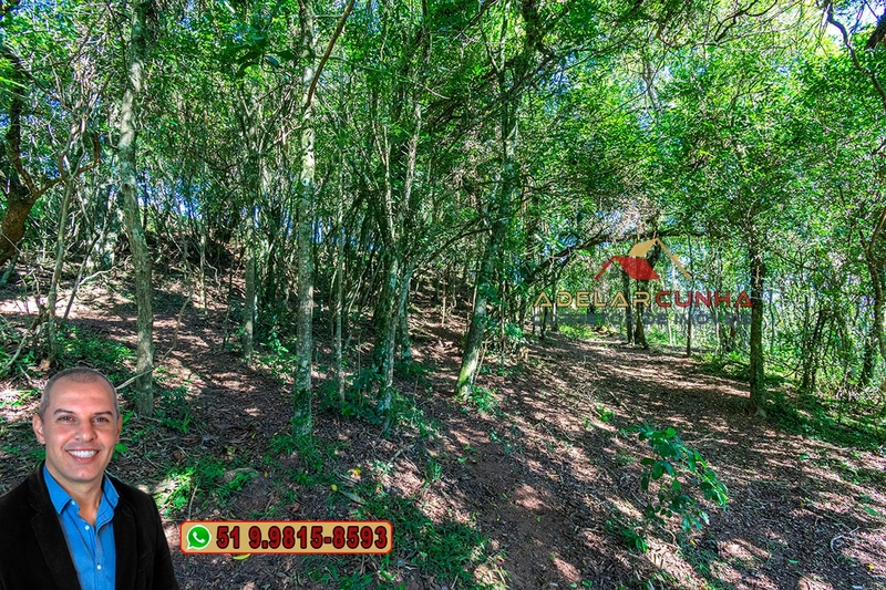 Chácara 2.6 hectares à Venda em Lomba Grande – Novo Hamburgo: 8ª foto da galeria de imagens do imóvel