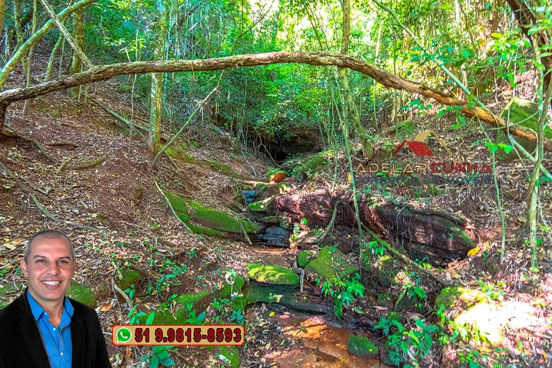Chácara 2.6 hectares à Venda em Lomba Grande – Novo Hamburgo: 15ª foto da galeria de imagens do imóvel
