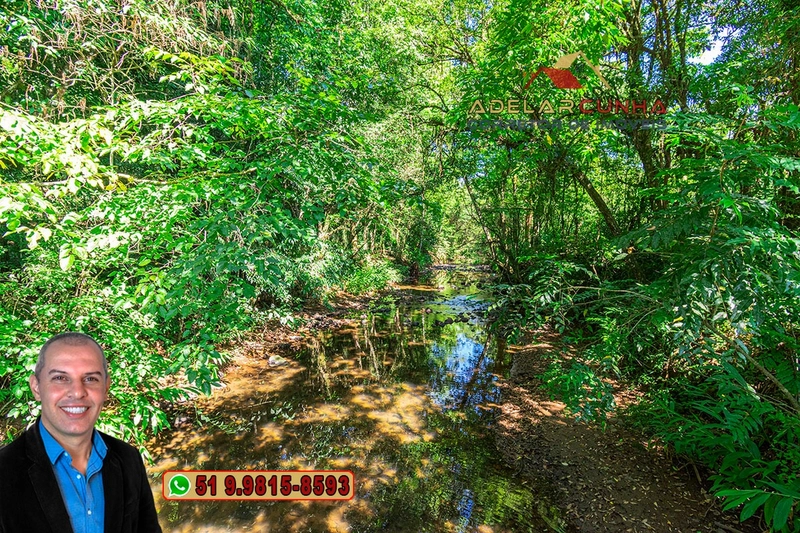 Sítio à Venda em Igrejinha: 8ª foto da galeria de imagens do imóvel