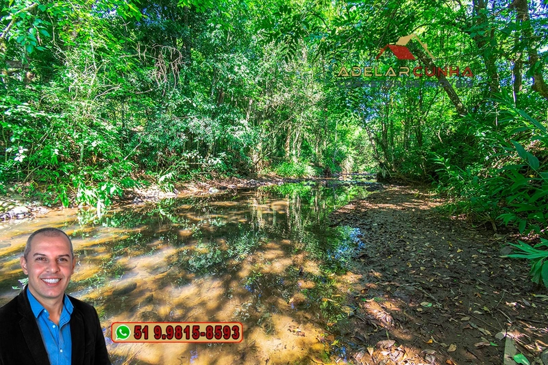 Sítio à Venda em Igrejinha: 9ª foto da galeria de imagens do imóvel