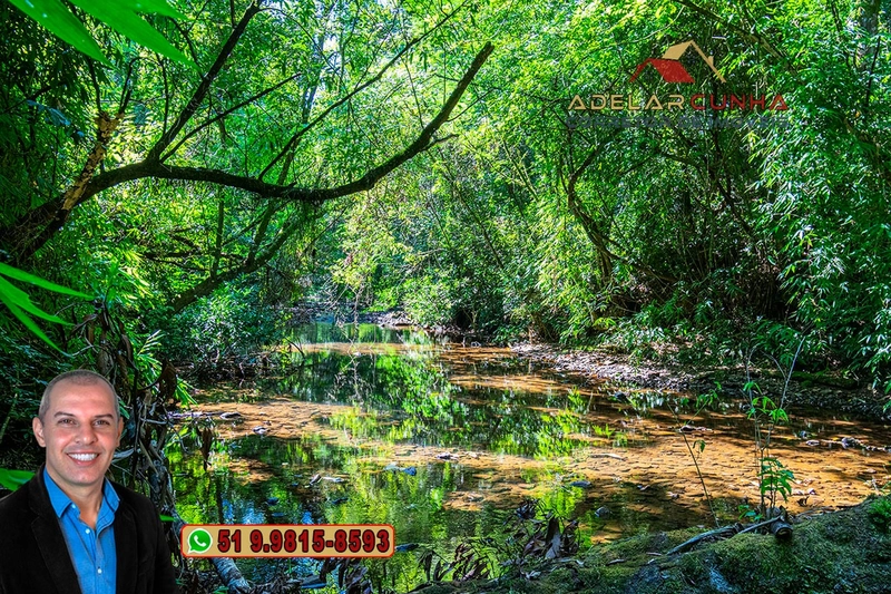 Sítio à Venda em Igrejinha: 6ª foto da galeria de imagens do imóvel