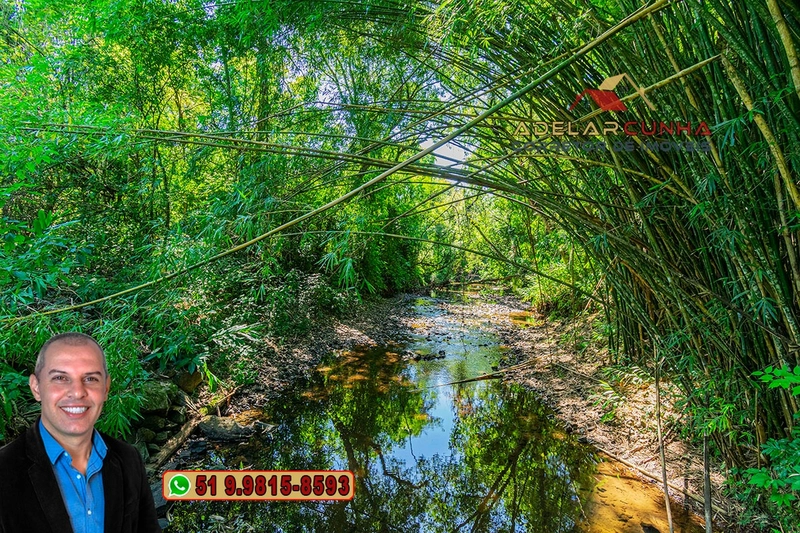 Sítio à Venda em Igrejinha: 4ª foto da galeria de imagens do imóvel