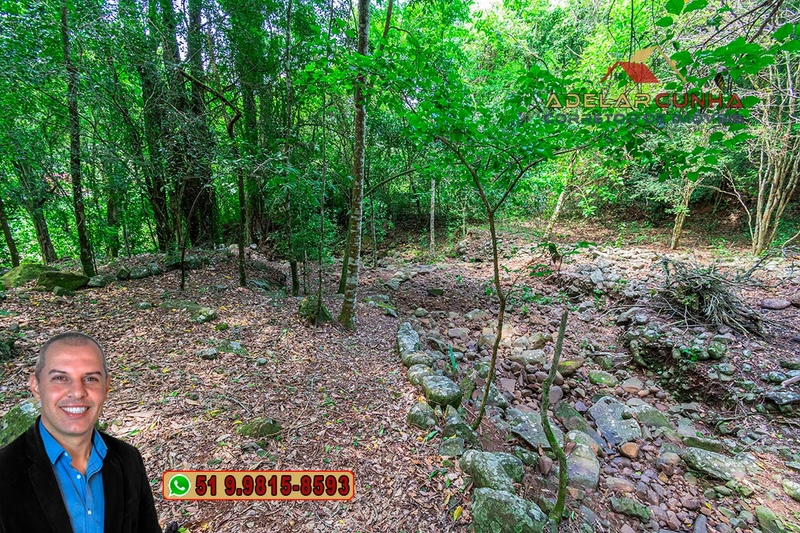 Sítio de 12 hectares à VENDA em Três Coroas-RS: 24ª foto da galeria de imagens do imóvel