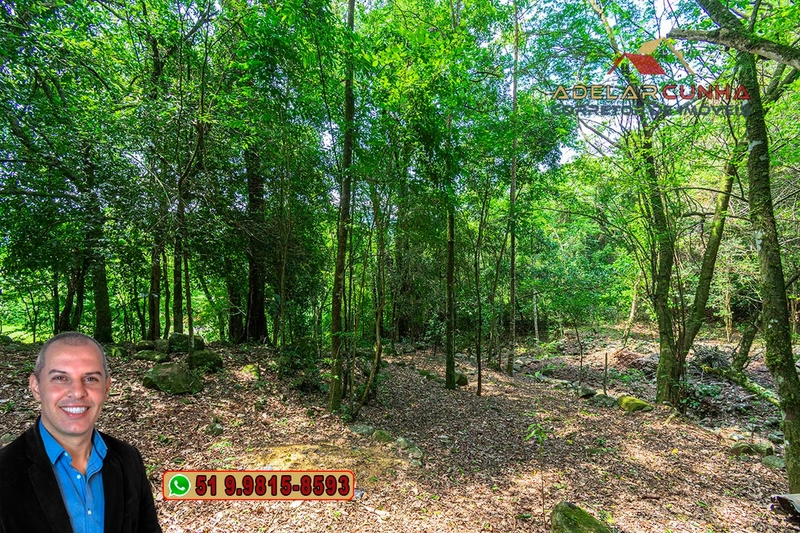Sítio de 12 hectares à VENDA em Três Coroas-RS: 25ª foto da galeria de imagens do imóvel
