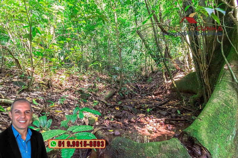 Sítio de 12 hectares à VENDA em Três Coroas-RS: 22ª foto da galeria de imagens do imóvel