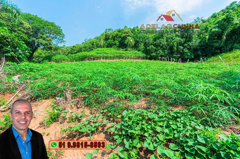 Sítio de 12 hectares à VENDA em Três Coroas-RS: 20ª foto da galeria de imagens do imóvel