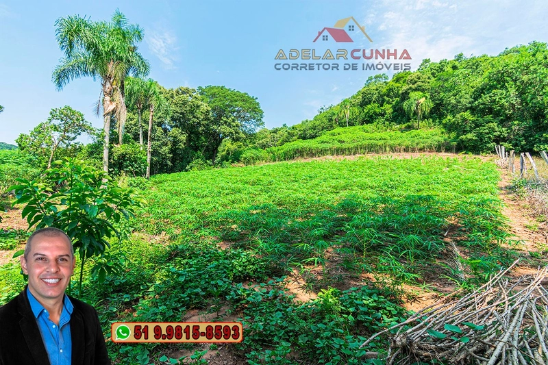 Sítio de 12 hectares à VENDA em Três Coroas-RS: 19ª foto da galeria de imagens do imóvel