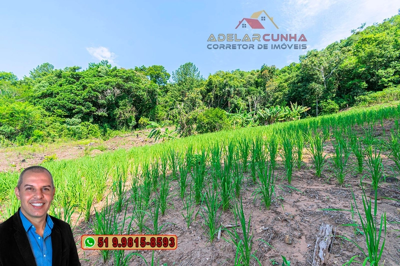 Sítio de 12 hectares à VENDA em Três Coroas-RS: 18ª foto da galeria de imagens do imóvel