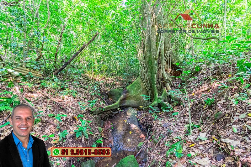 Sítio de 12 hectares à VENDA em Três Coroas-RS: 23ª foto da galeria de imagens do imóvel