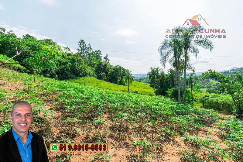Sítio de 12 hectares à VENDA em Três Coroas-RS: 21ª foto da galeria de imagens do imóvel
