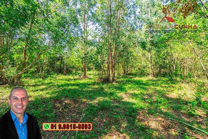 Chácara À Venda em Araricá: 11ª foto da galeria de imagens do imóvel