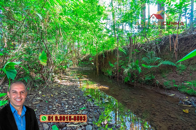 Sítio à Venda em Santo Antônio da Patrulha: 9ª foto da galeria de imagens do imóvel