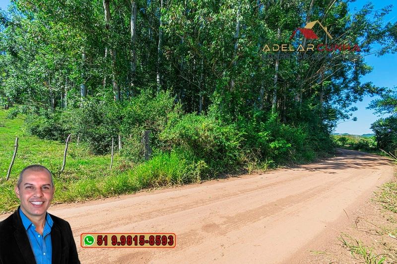 Sítio à Venda em Santo Antônio da Patrulha: 2ª foto da galeria de imagens do imóvel