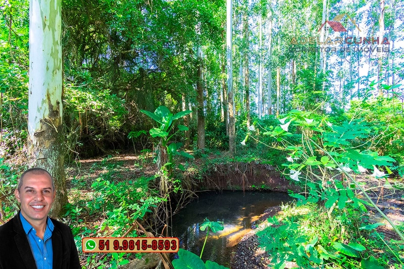 Sítio à Venda em Santo Antônio da Patrulha: 5ª foto da galeria de imagens do imóvel