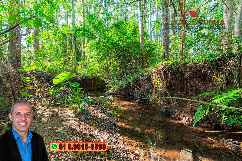 Sítio à Venda em Santo Antônio da Patrulha: 11ª foto da galeria de imagens do imóvel