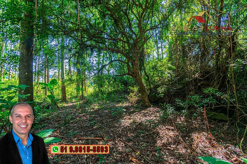 Sítio à Venda em Santo Antônio da Patrulha: 4ª foto da galeria de imagens do imóvel