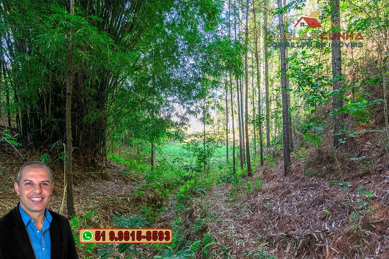 Sítio à Venda em Santo Antônio da Patrulha: 16ª foto da galeria de imagens do imóvel