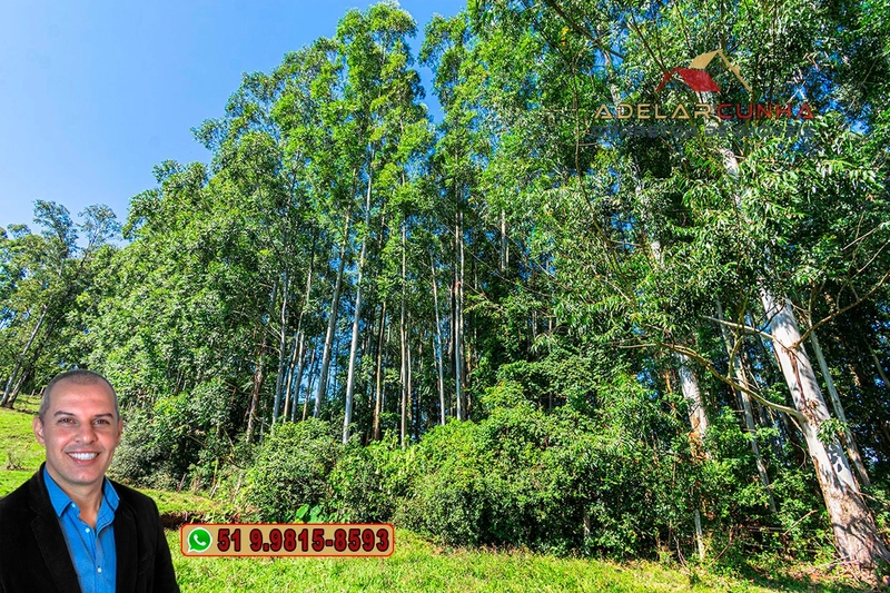 Sítio à Venda em Santo Antônio da Patrulha: 3ª foto da galeria de imagens do imóvel