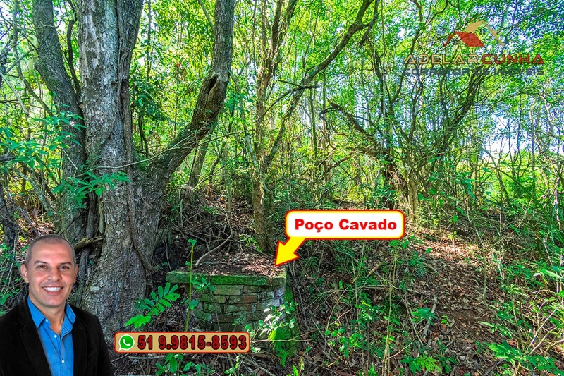 Sítio à Venda em Santo Antônio da Patrulha: 33ª foto da galeria de imagens do imóvel