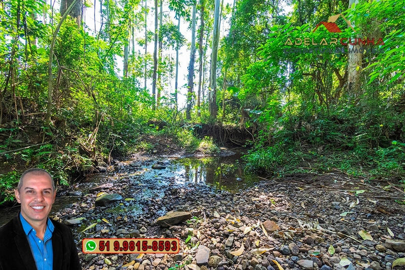 Sítio à Venda em Santo Antônio da Patrulha: 6ª foto da galeria de imagens do imóvel