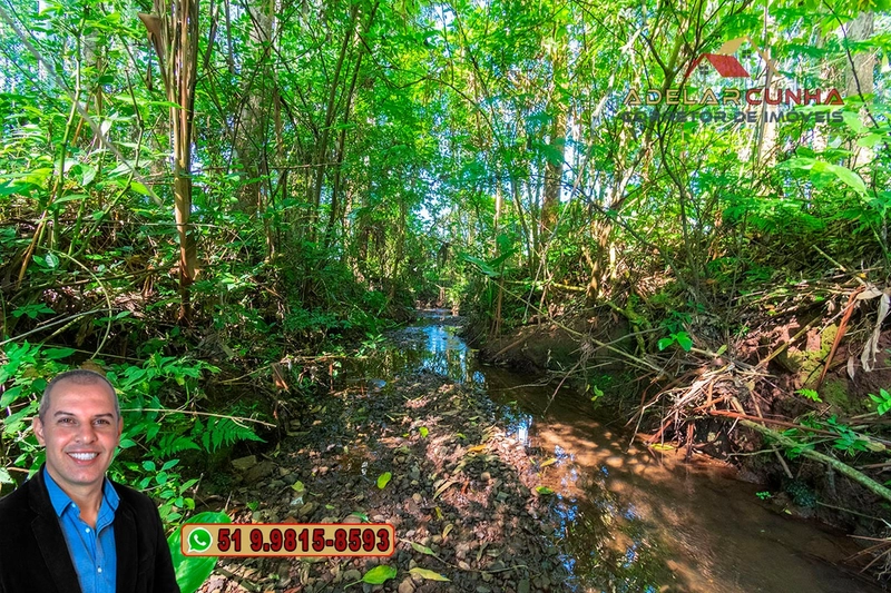 Sítio à Venda em Santo Antônio da Patrulha: 7ª foto da galeria de imagens do imóvel