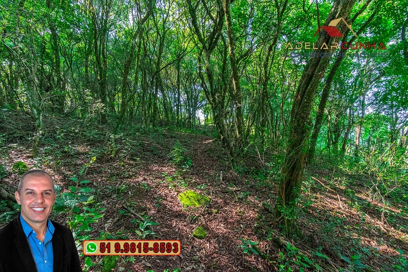 Sítio à Venda em Santo Antônio da Patrulha: 31ª foto da galeria de imagens do imóvel