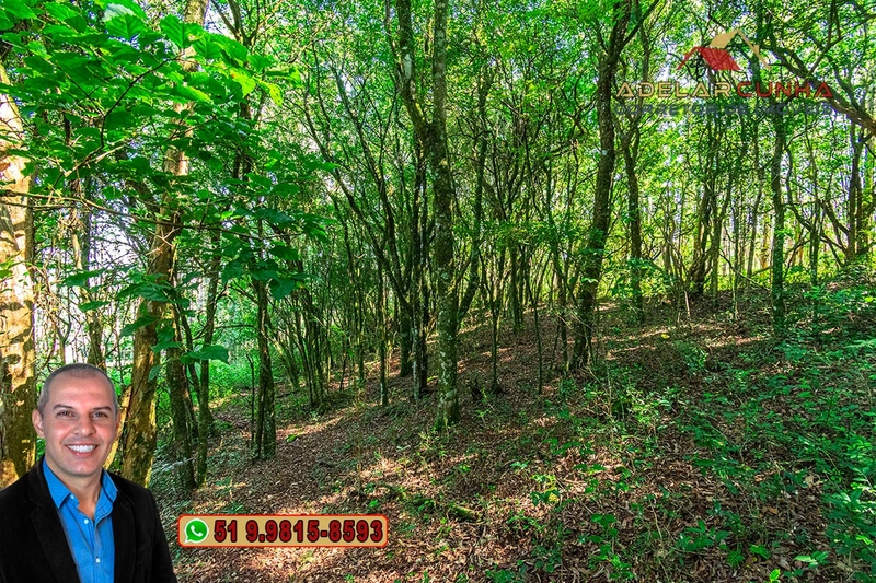 Sítio à Venda em Santo Antônio da Patrulha: 32ª foto da galeria de imagens do imóvel