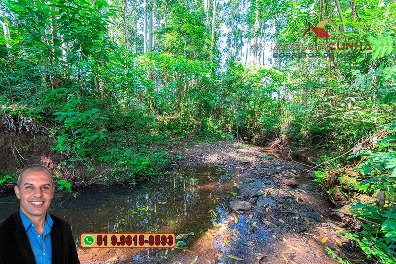 Sítio à Venda em Santo Antônio da Patrulha: 8ª foto da galeria de imagens do imóvel