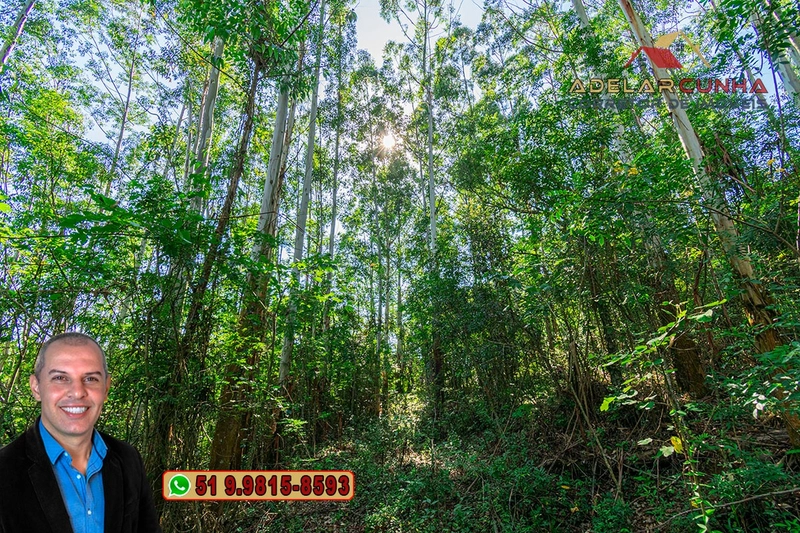 Sítio à Venda em Santo Antônio da Patrulha: 26ª foto da galeria de imagens do imóvel