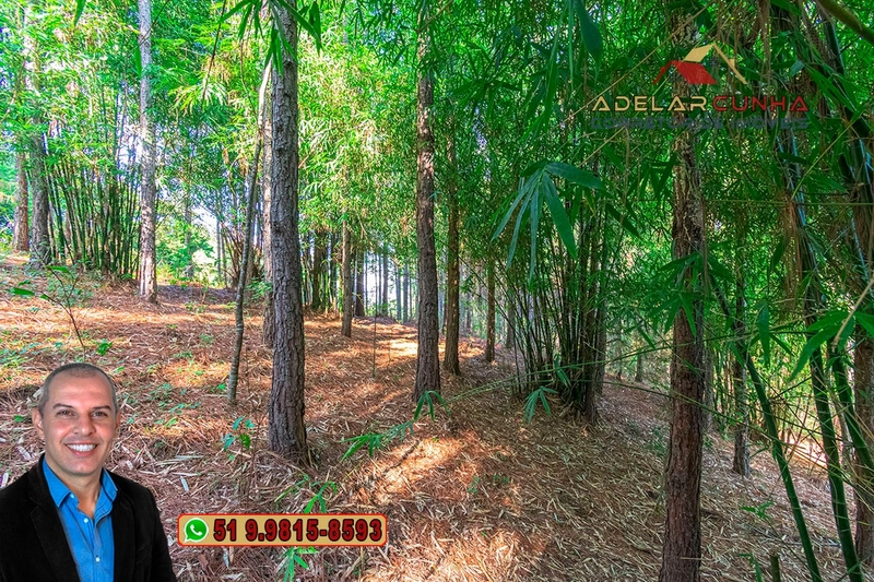 Sítio à Venda em Santo Antônio da Patrulha: 18ª foto da galeria de imagens do imóvel