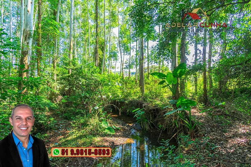 Sítio à Venda em Santo Antônio da Patrulha: 10ª foto da galeria de imagens do imóvel