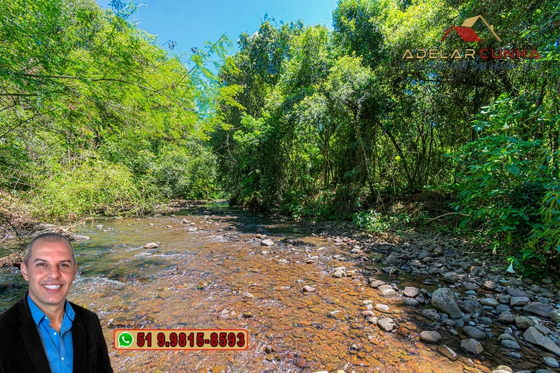 Sítio de 4.5 hectares com um Belíssimo Riacho à VENDA em Três Coroas: 7ª foto da galeria de imagens do imóvel