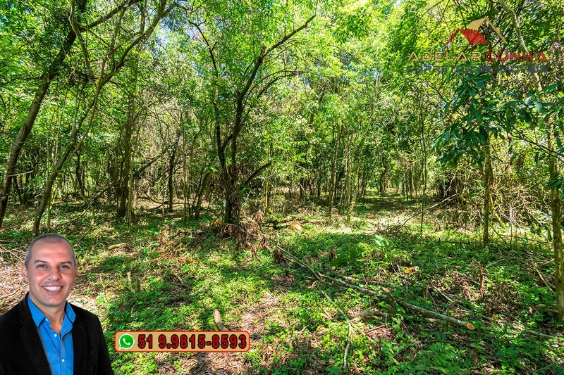 Sítio de 4.5 hectares com um Belíssimo Riacho à VENDA em Três Coroas: 40ª foto da galeria de imagens do imóvel