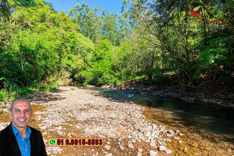 Sítio de 4.5 hectares com um Belíssimo Riacho à VENDA em Três Coroas: 18ª foto da galeria de imagens do imóvel