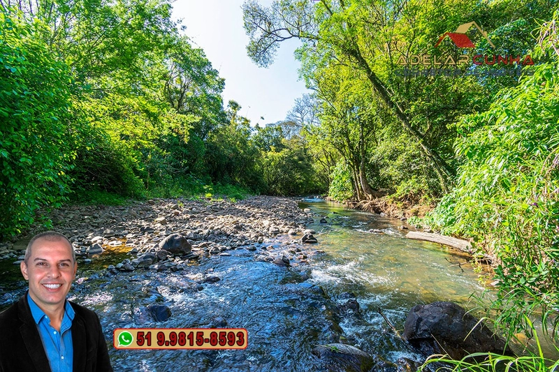 Sítio de 4.5 hectares com um Belíssimo Riacho à VENDA em Três Coroas: 23ª foto da galeria de imagens do imóvel