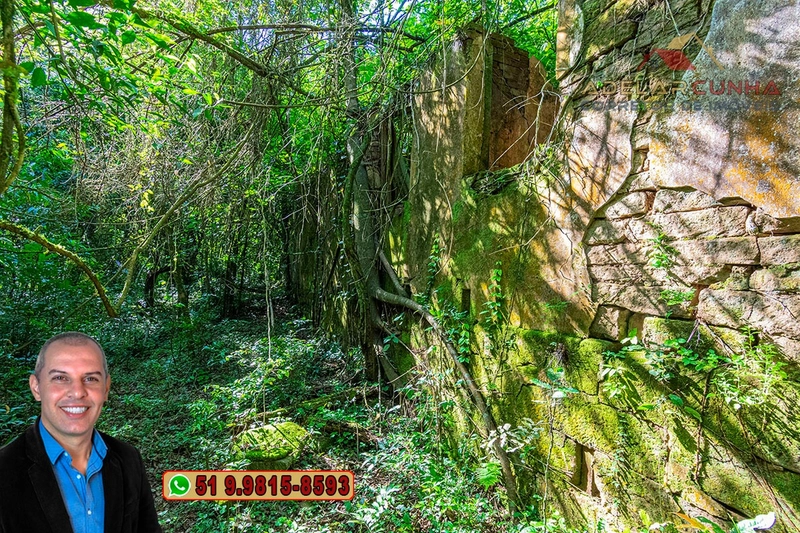 Sítio de 4.5 hectares com um Belíssimo Riacho à VENDA em Três Coroas: 48ª foto da galeria de imagens do imóvel
