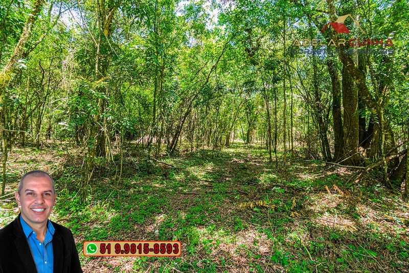 Sítio de 4.5 hectares com um Belíssimo Riacho à VENDA em Três Coroas: 37ª foto da galeria de imagens do imóvel
