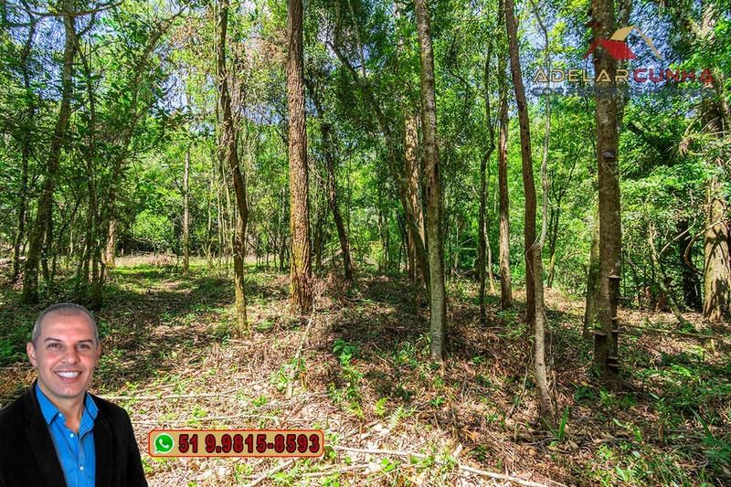 Sítio de 4.5 hectares com um Belíssimo Riacho à VENDA em Três Coroas: 27ª foto da galeria de imagens do imóvel