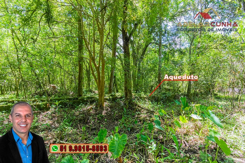 Sítio de 4.5 hectares com um Belíssimo Riacho à VENDA em Três Coroas: 41ª foto da galeria de imagens do imóvel